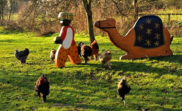 Spaziergang durch Hmelschenburg - Gestt Hmelschenburg Ende Dezember 2014, Foto: Beate Langels, 
Trakehner Gestt Hmelschenburg - Beate Langels