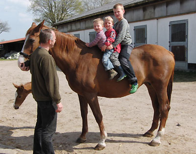 Rispe und ihre Shavalou-Tochter mit den drei Jungen der Familie Jger