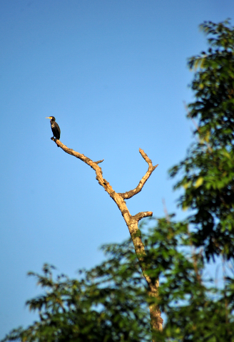 Gestt Hmelschenburg im August 2016 - copyright by Beate Langels