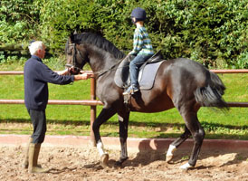 Prmienhengst Saint Cyr v. Kostolany (5jhrig) und der 5jhrige JasperFoto: Beate Langels