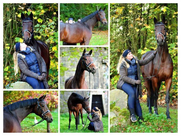 Prmienstute Valenta v. Oliver Twist u.d. Elitestute Vicenza v. Showmaster - Foto: Beate Langels - 
Trakehner Gestt Hmelschenburg