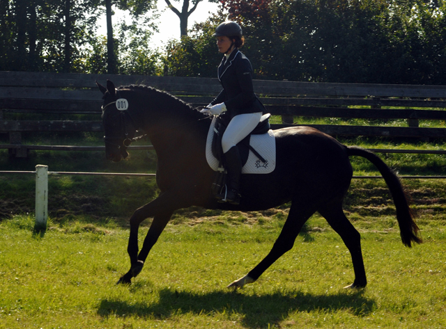 Ginger Rogers von Symont u.d. Greta Garbo v. Alter Fritz, Foto: Beate Langels, Trakehner Gestt Hmelschenburg