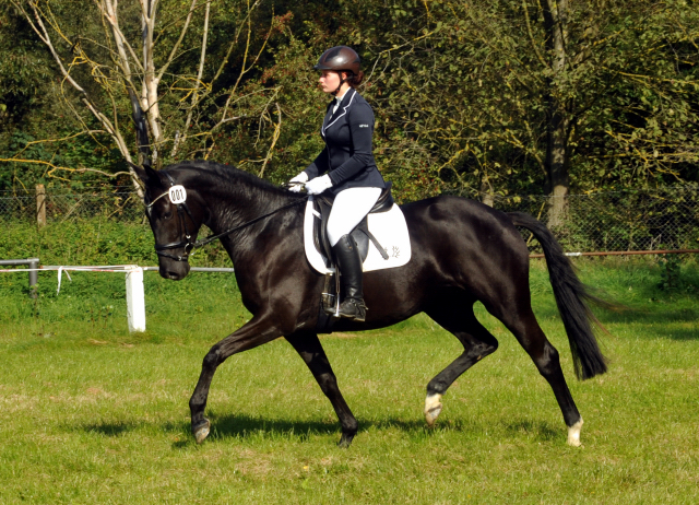 Ginger Rogers von Symont u.d. Greta Garbo v. Alter Fritz, Foto: Beate Langels, Trakehner Gestt Hmelschenburg