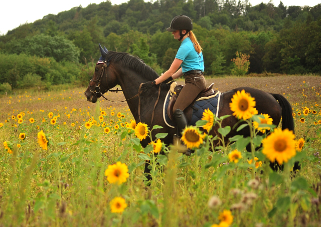 Shavalou und Johanna - Ende Juli im Trakehner Gestt Hmelschenburg - 
copyright by Beate Langels