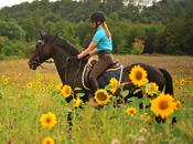 Juli 2019 - Impressionen - Trakehner Gestt Hmelschenburg 2019 - Foto: Beate Langels