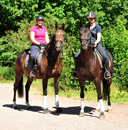 Impressionen vom Juli 2020 - Trakehner Gestt Hmelschenburg 2020 - Foto: Beate Langels