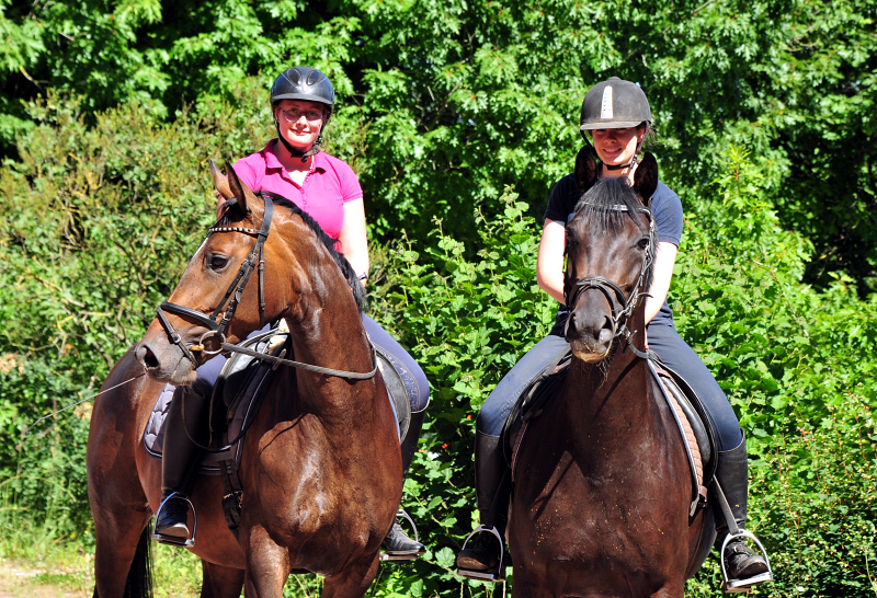 Val d'Isere v. High Motion und Schwalbenzauber v. De Niro - Foto: Beate Langels - Trakehner Gestt Hmelschenburg