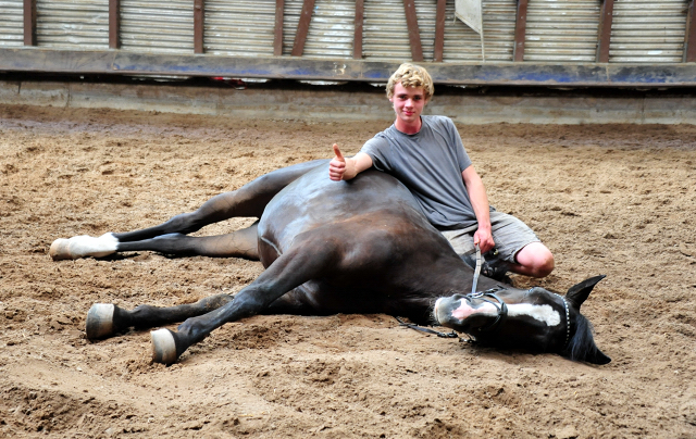 Noah und der 3jhrige De Niro Sohn aus der Schwalbendiva v. Totilas - Foto: Beate Langels - Trakehner Gestt Hmelschenburg