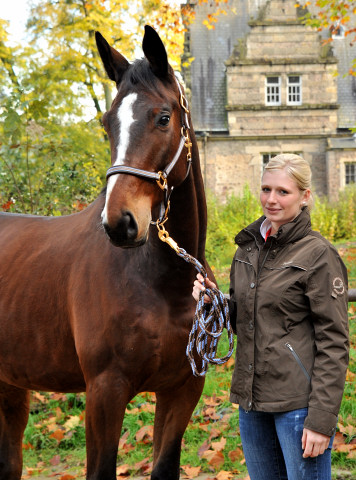 31. Oktober 2014 - Karalino von Summertime u.d. Karalina v. Exclusiv - Foto: Beate Langels, Trakehner Gestt Hmelschenburg