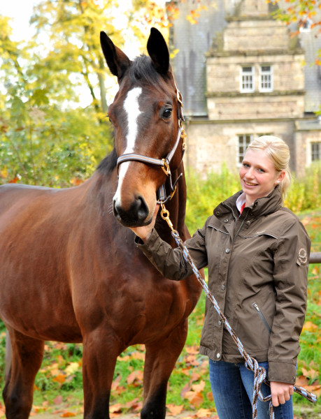 31. Oktober 2014 - Karalino von Summertime u.d. Karalina v. Exclusiv - Foto: Beate Langels, Trakehner Gestt Hmelschenburg