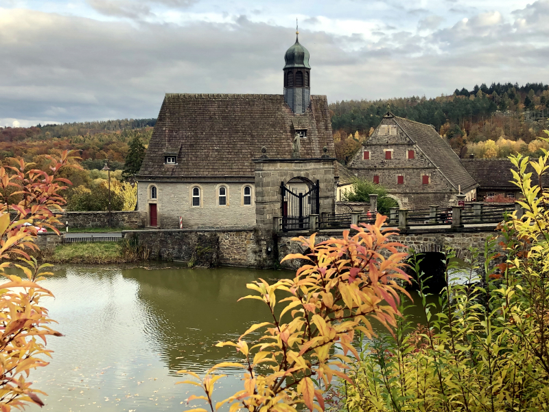 Auf der Feldweide - 26. Oktober 2021 in Hmelschenburg  - Foto: Beate Langels - Trakehner Gestt Hmelschenburg