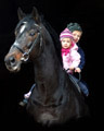 Jasper, Greta und Exclusiv - Foto Beate Langels - Trakehner Gestt Hmelschenburg