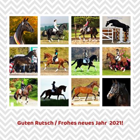 1. Januar 2021 - Foto: Beate Langels - 
Trakehner Gestt Hmelschenburg