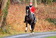 Impressionen vom Dezember 2020 - Trakehner Gestt Hmelschenburg 2020 - Foto: Beate Langels