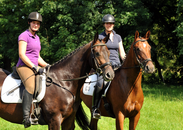 Oldenburger Stute BERESINA von Summertime u.d. Beloved v. Kostolany - Foto: Beate Langels - Trakehner Gestt Hmelschenburg