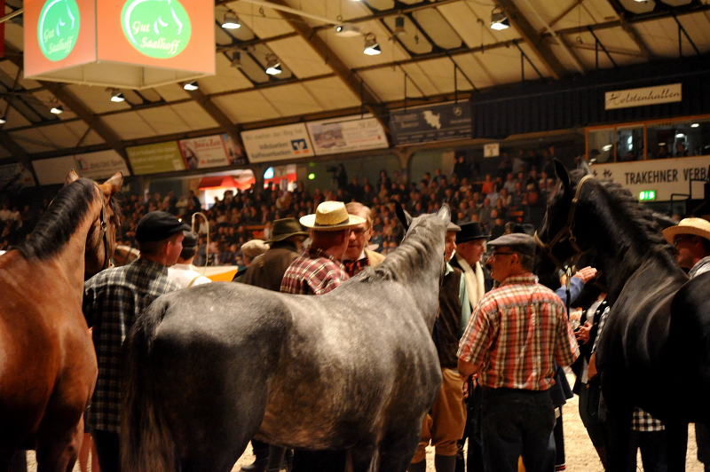 Wehlauer Pferdemarkt - Foto: Beate Langels, Trakehner Gestt Hmelschenburg