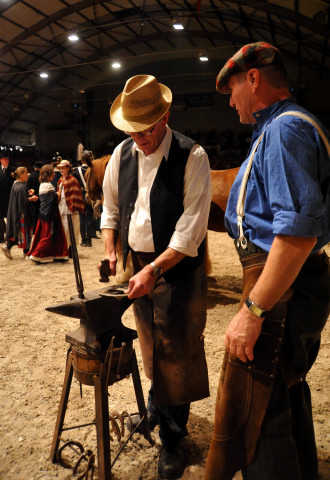 Wehlauer Pferdemarkt - Foto: Beate Langels, Trakehner Gestt Hmelschenburg