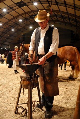 Wehlauer Pferdemarkt - Foto: Beate Langels, Trakehner Gestt Hmelschenburg