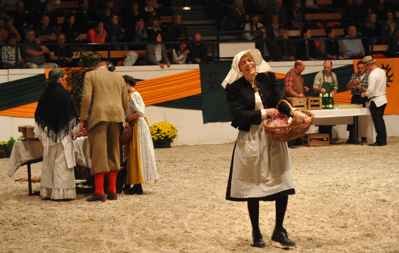 Wehlauer Pferdemarkt - Foto: Beate Langels, Trakehner Gestt Hmelschenburg