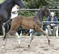 2,5 month old