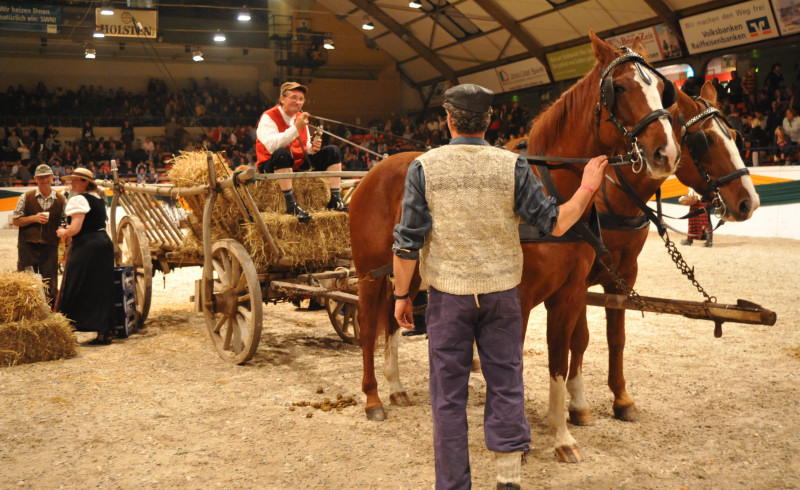 Wehlauer Pferdemarkt - Foto: Beate Langels, Trakehner Gestt Hmelschenburg