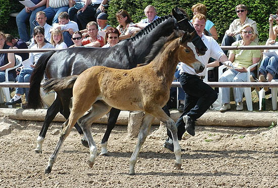 Schwalbenherzchen v. Freudenfest u.d. Schwalbenflair v. Exclusiv