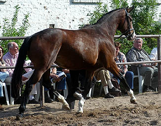 Guendita v. Alter Fritz u.d. Pr.St. Guendalina v. Red Patrick xx