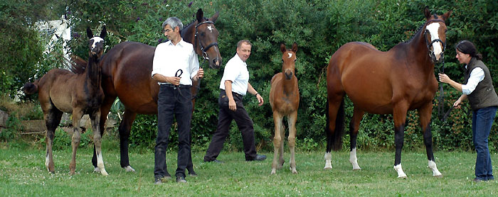 Die Champion: Elitestute Gloriette mit Stutfohlen von Alter Fritz und Grazia Patricia mit Hengstfohlen von Shavalou, Foto: Beate Langels - Gestt Hmelschenburg