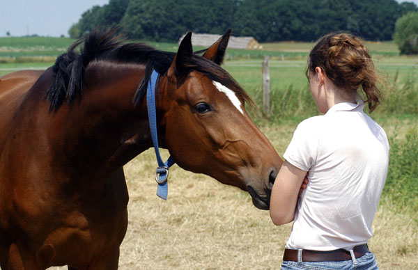 Kalahari v. Exclusiv schmut besonders gerne - Foto: Beate Langels Gestt Hmelschenburg