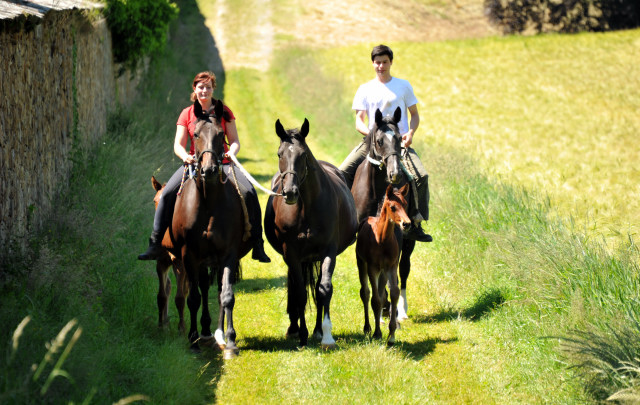  im Gestt Hmelschenburg - Foto Beate Langels