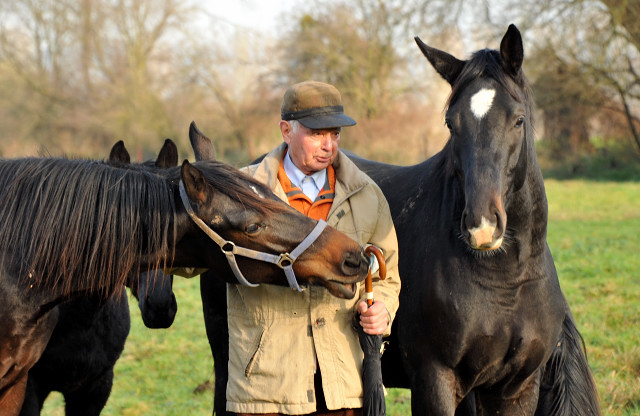 Ein- und zweijhrige Hengste und Wallache in den Emmerauen - Gestt Hmelschenburg 7.12.2014, Foto: Beate Langels, 
Trakehner Gestt Hmelschenburg - Beate Langels