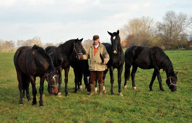 Ein- und zweijhrige Hengste und Wallache in den Emmerauen - Gestt Hmelschenburg 7.12.2014, Foto: Beate Langels, 
Trakehner Gestt Hmelschenburg - Beate Langels