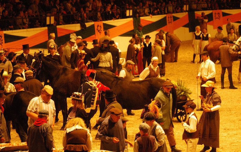 Wehlauer Pferdemarkt - Foto: Beate Langels, Trakehner Gestt Hmelschenburg