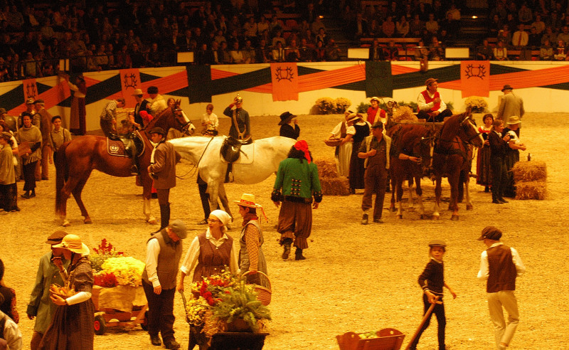 Wehlauer Pferdemarkt - Foto: Beate Langels, Trakehner Gestt Hmelschenburg