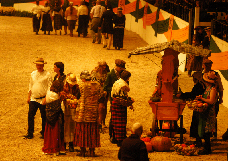 Wehlauer Pferdemarkt - Foto: Beate Langels, Trakehner Gestt Hmelschenburg