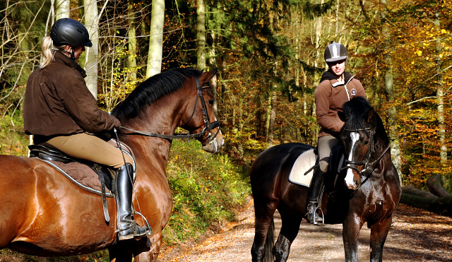 Herbstausritt mit Freudenfest und Shavalou in Hmelschenburg - im November 2014, Foto: Beate Langels, Trakehner Gestt Hmelschenburg