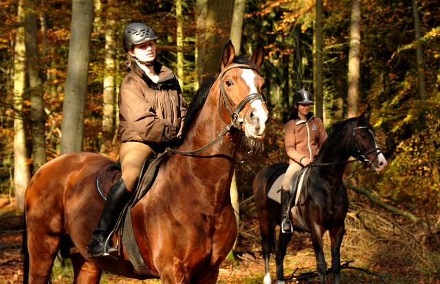 Herbstausritt mit Freudenfest und Shavalou in Hmelschenburg - im November 2014, Foto: Beate Langels, Trakehner Gestt Hmelschenburg