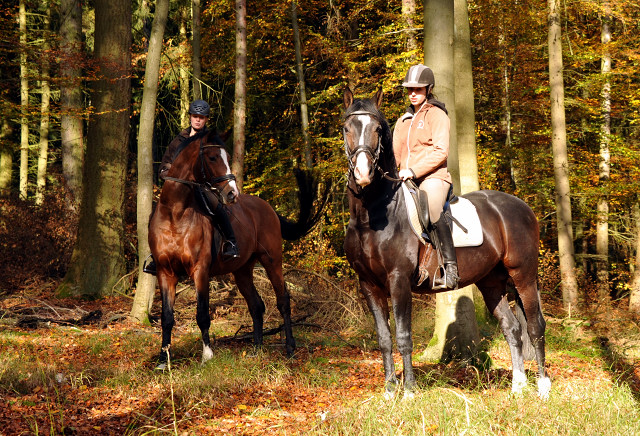 Herbstausritt mit Freudenfest und Shavalou in Hmelschenburg - im November 2014, Foto: Beate Langels, Trakehner Gestt Hmelschenburg