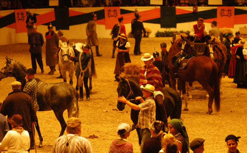 Wehlauer Pferdemarkt - Foto: Beate Langels, Trakehner Gestt Hmelschenburg