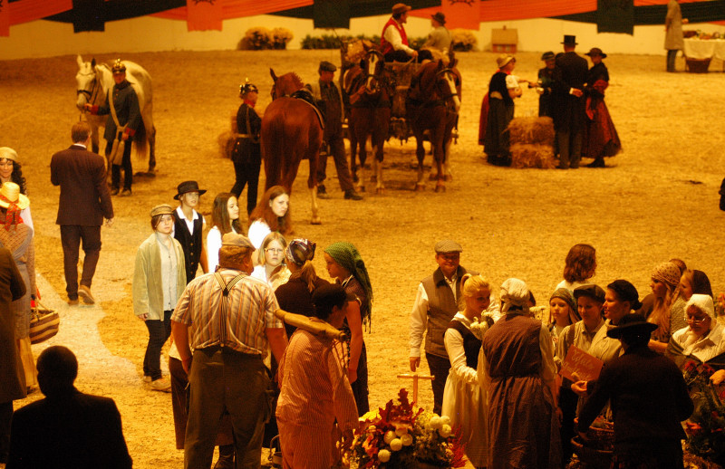 Wehlauer Pferdemarkt - Foto: Beate Langels, Trakehner Gestt Hmelschenburg