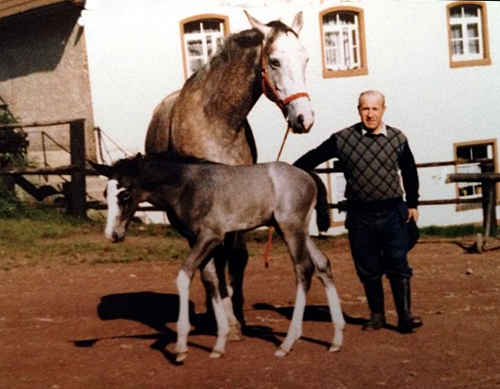 Thimur - in Hmelschenburg