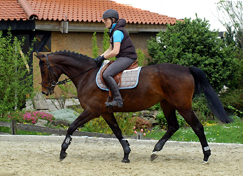 Marouschka v. Shavalou u.d. Mainau v. Caanitz