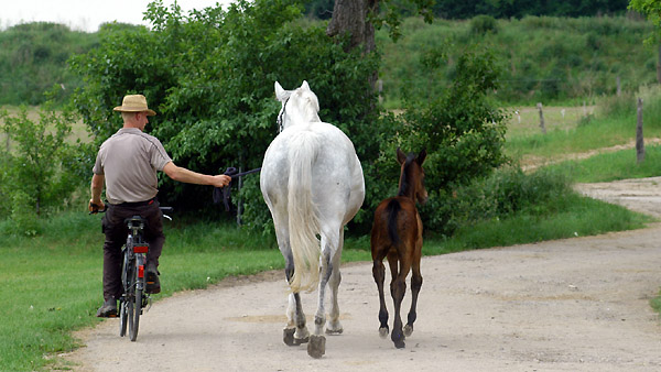 Auf Wiedersehen in Schäplitz, Foto: Beate Langels