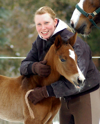 1 day old - Trakehner colt by Freudenfest out of Pr.St. Tavolara by Exclusiv, Trakehner Gestt Hmelschenburg - Beate Langels