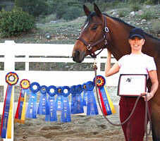 Horse of the year in Southern Caliornia: Adagio (ex Karenin) by Schwadroneur - Kostolany, Foto: Holger Hoetzel