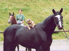 Alter Fritz, Pünktchen -  Freudenfest and Marion