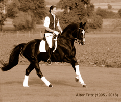 Alter Fritz - Foto Beate Langels