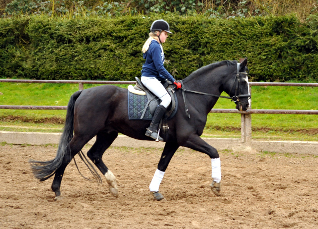 Alter Fritz und Pauline - Trakehner Gestüt Hämelschenburg - Beate Langels