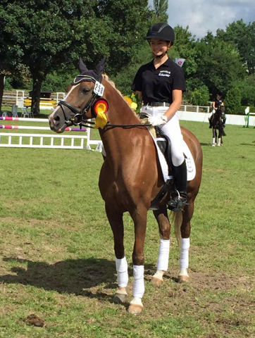 Thyra Langels und Lady Bergarac - Gestt Schplitz - copyright Astrid Mller, Trakehner Gestt Hmelschenburg