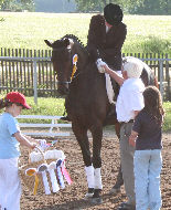 4-jährige Trakehner Stute AQUAMARIN von Freudenfest - Showmaster, Siegerin der Dressurpferdeprüfung Kl. A; Foto: Ralf Schär